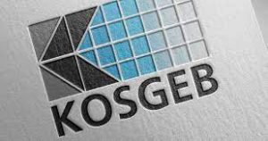 KOSGEB’in Mikro ve Küçük İşletmelere Hızlı Destek Programı Hakkında